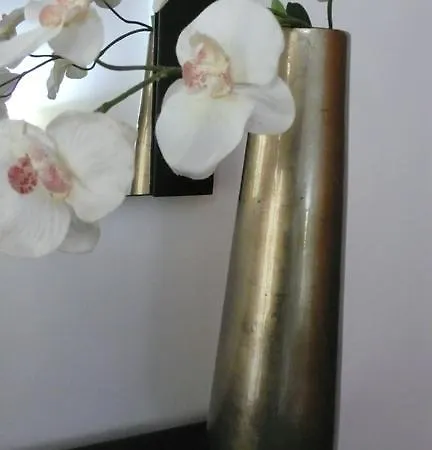 Sao Martinho Do Porto Beach Apartment アパート *