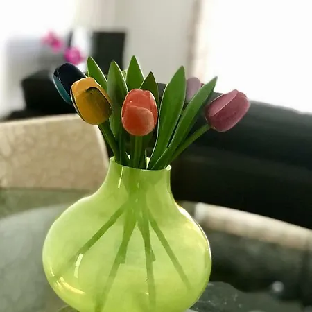 דירה Sao Martinho Do Porto Beach Apartment