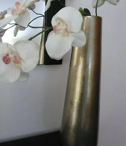 Sao Martinho Do Porto Beach Apartment Appartamento *